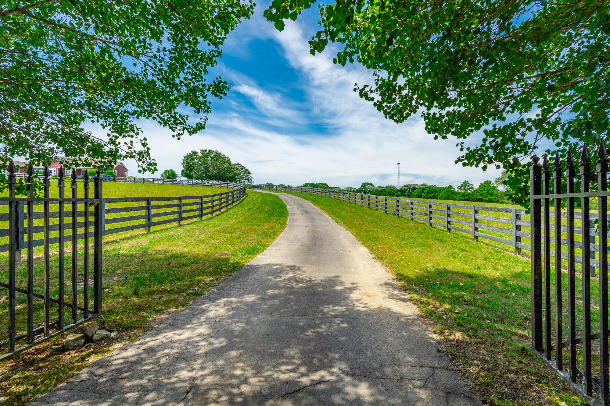 7015 B K Ranch Road Georgetown, TN 37336 - Photo 99 of 144 7015 B K RAnch Road HD-126