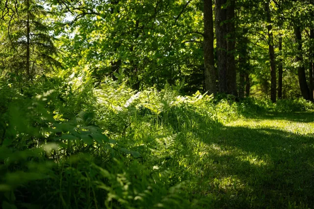 $224,900 | 13217 Beaver Road Northeast, Bemidji, MN 56601