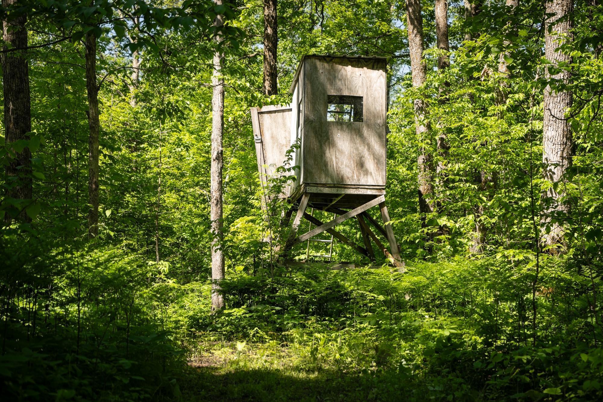 13217 Beaver Road Northeast Bemidji, MN 56601 - Photo 27 of 38