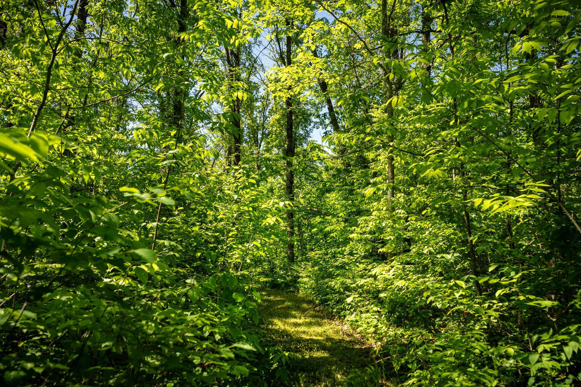 13217 Beaver Road Northeast Bemidji, MN 56601 - Photo 28 of 38