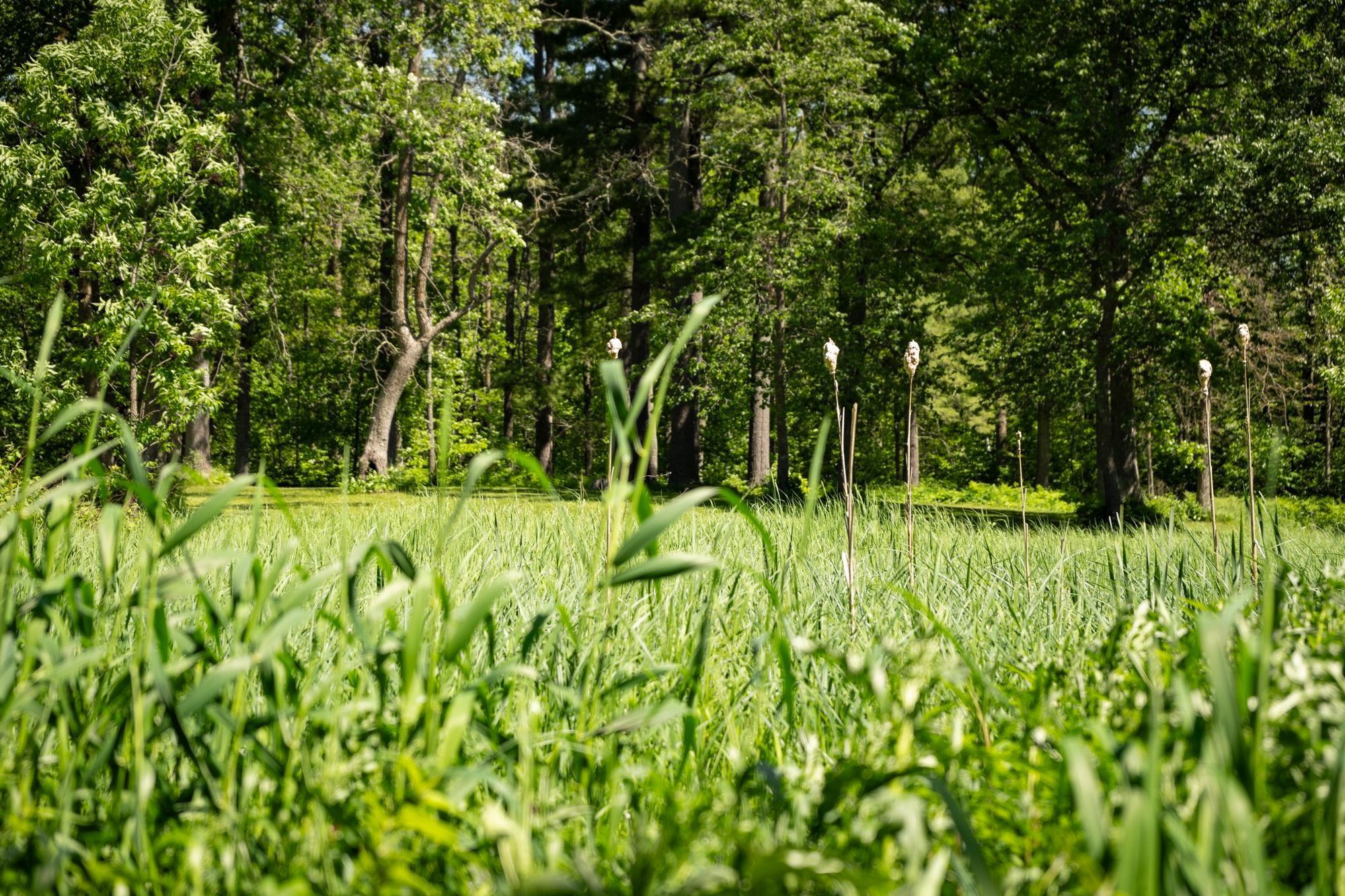 13217 Beaver Road Northeast Bemidji, MN 56601 - Photo 29 of 38