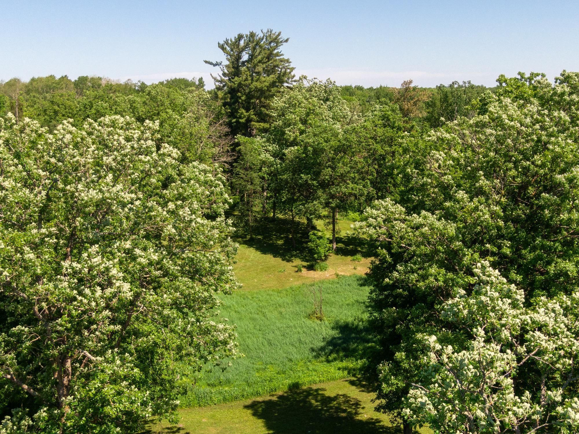 13217 Beaver Road Northeast Bemidji, MN 56601 - Photo 33 of 38