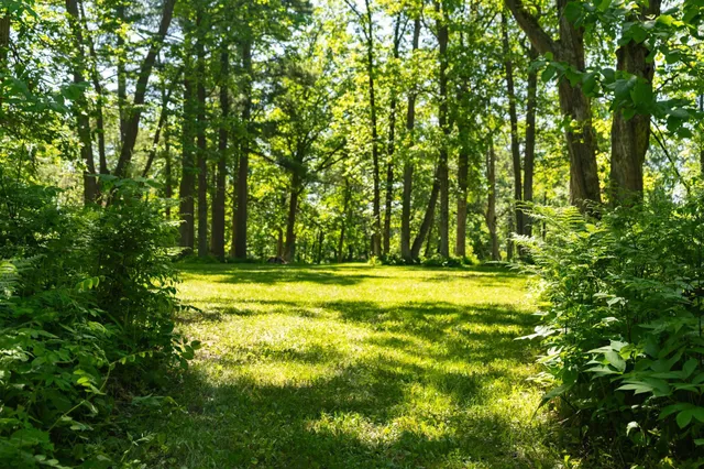 $224,900 | 13217 Beaver Road Northeast, Bemidji, MN 56601