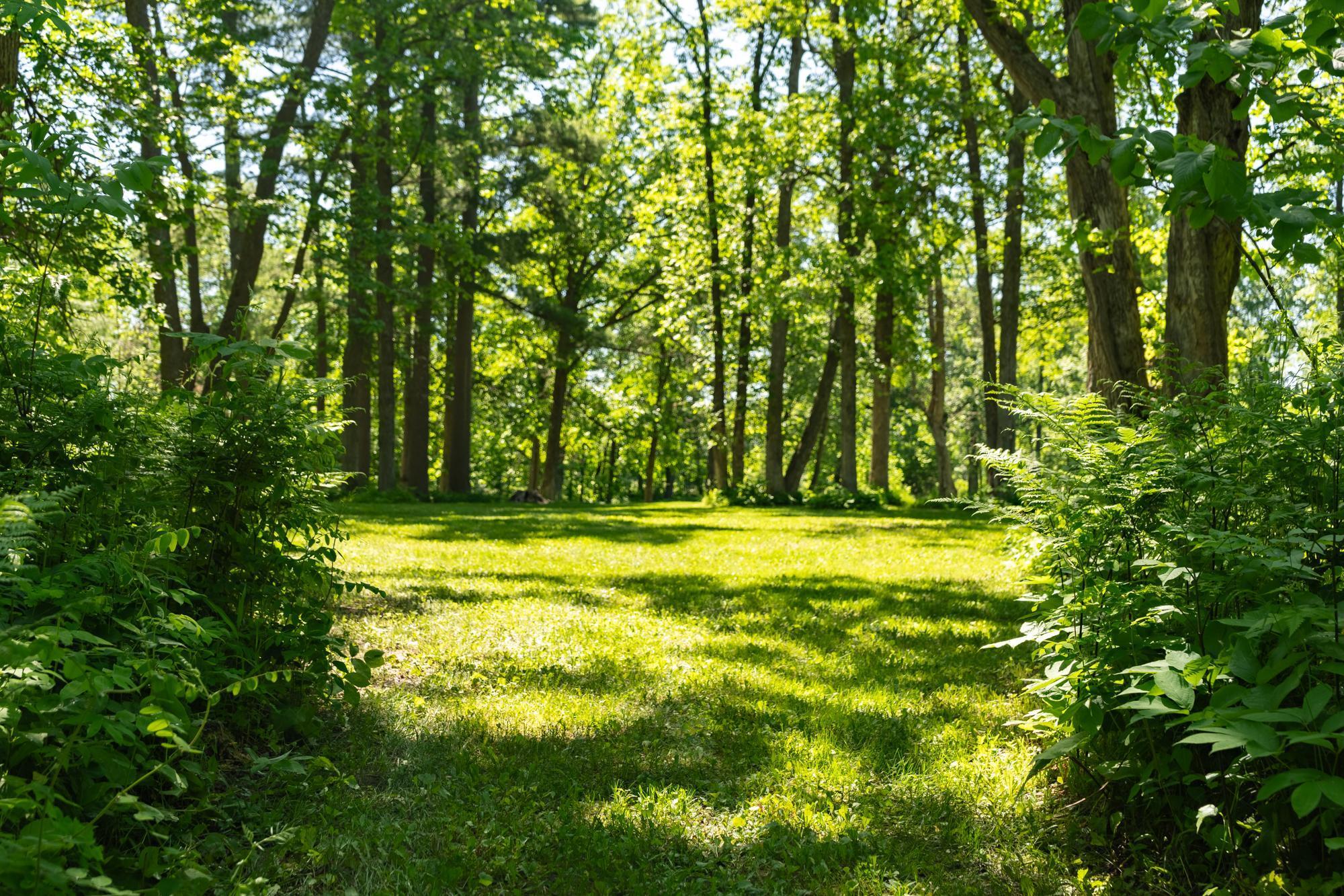 13217 Beaver Road Northeast Bemidji, MN 56601 - Photo 7 of 38