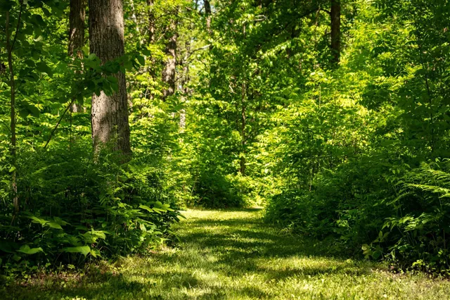 $224,900 | 13217 Beaver Road Northeast, Bemidji, MN 56601