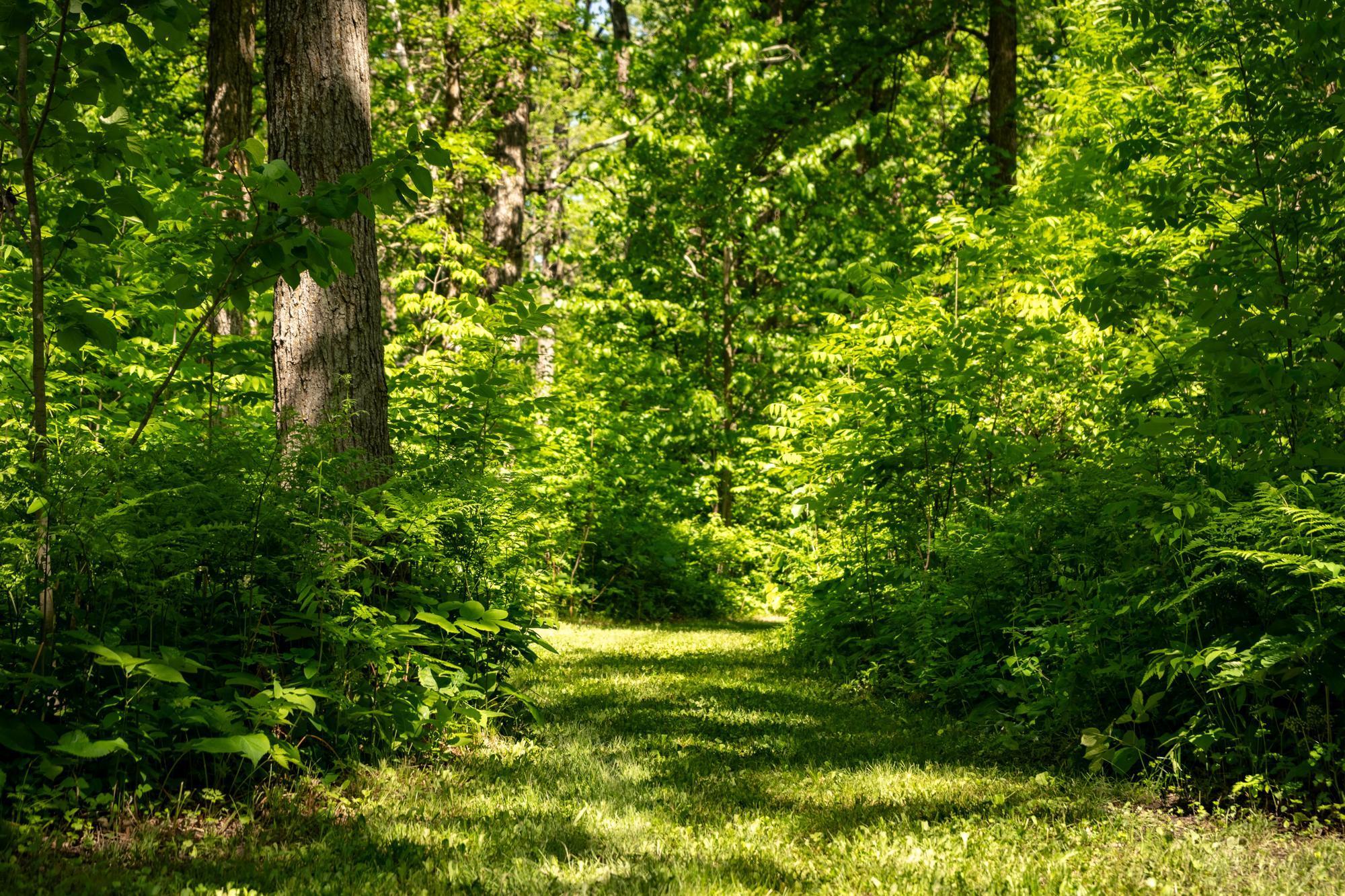 13217 Beaver Road Northeast Bemidji, MN 56601 - Photo 8 of 38