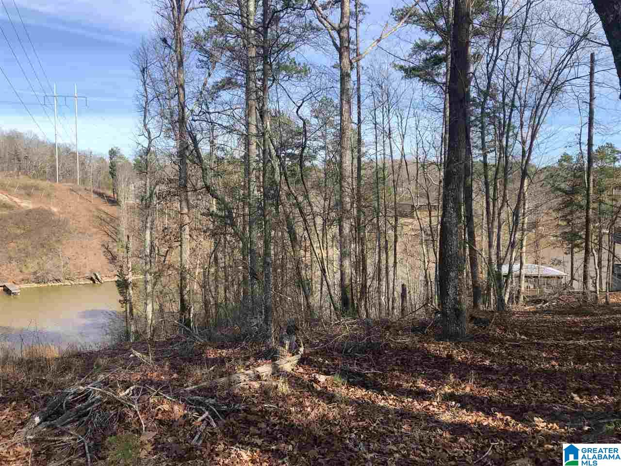 Lot 4 Point View, Unit LOT 4 Wedowee, AL 36278 - Photo 5 of 8
