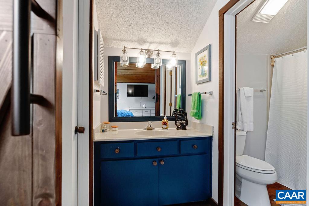 1403 Highlands Roseland, VA 22967 - Photo 28 of 29 a bathroom with a sink a toilet and shower a mirror