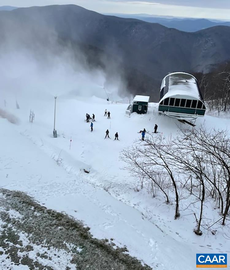 1403 Highlands Roseland, VA 22967 - Photo 6 of 29