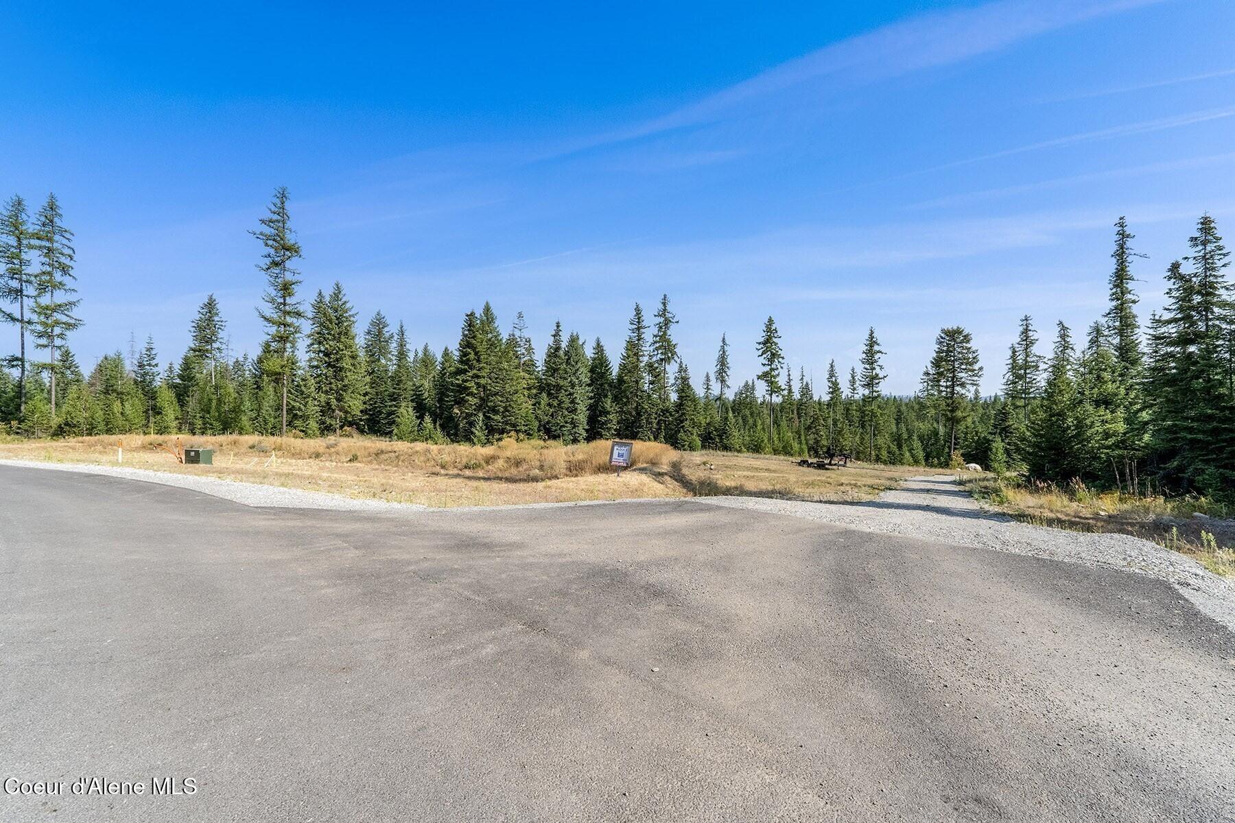 1 Leonard Loop Athol, ID 83801 - Photo 20 of 27 Driveway