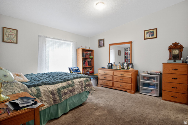 170 North 400th West Centerfield, UT 84622 - Photo 23 of 36 Primary bedroom