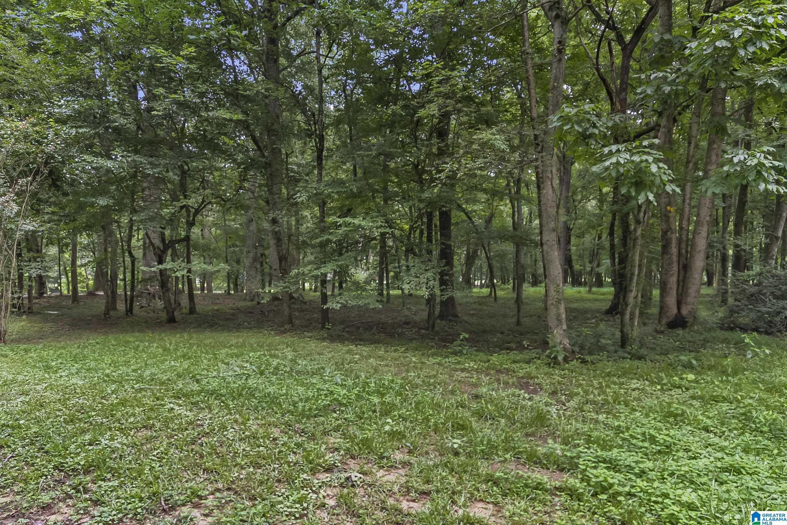 13615 Riverbend Road Moundville, AL 35474 - Photo 2 of 33