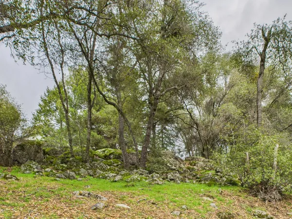 $899,000 | 43710 Hilltop Lane, Ahwahnee, CA 93601