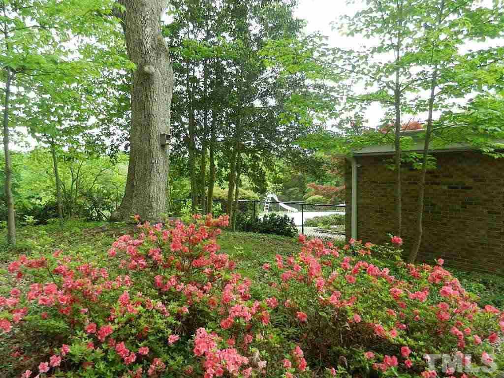 4424 Mitchell Mill Road Wake Forest, NC 27587 - Photo 24 of 25 a garden view with flowers and trees
