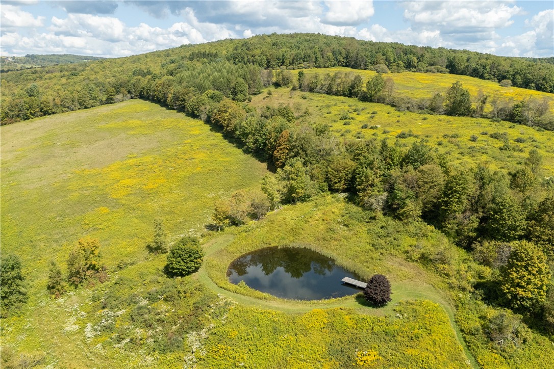 245 Budine Road Walton, NY 13856 - Photo 32 of 47