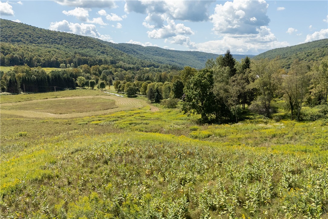 245 Budine Road Walton, NY 13856 - Photo 33 of 47