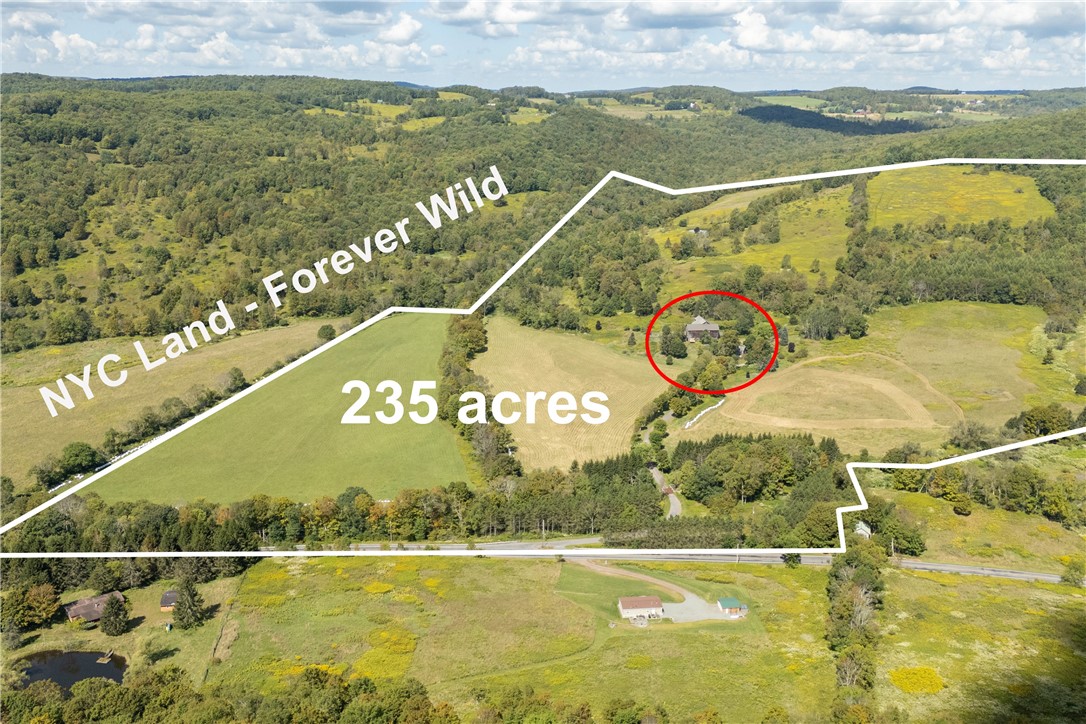 245 Budine Road Walton, NY 13856 - Photo 35 of 47