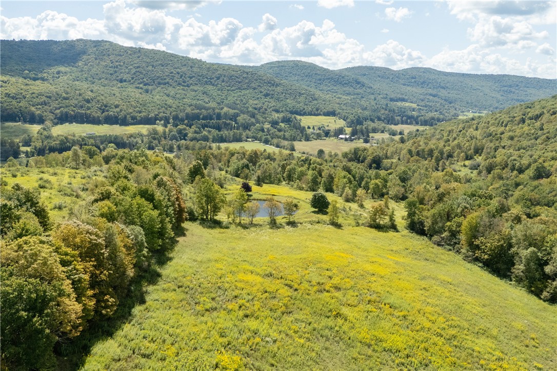 245 Budine Road Walton, NY 13856 - Photo 36 of 47