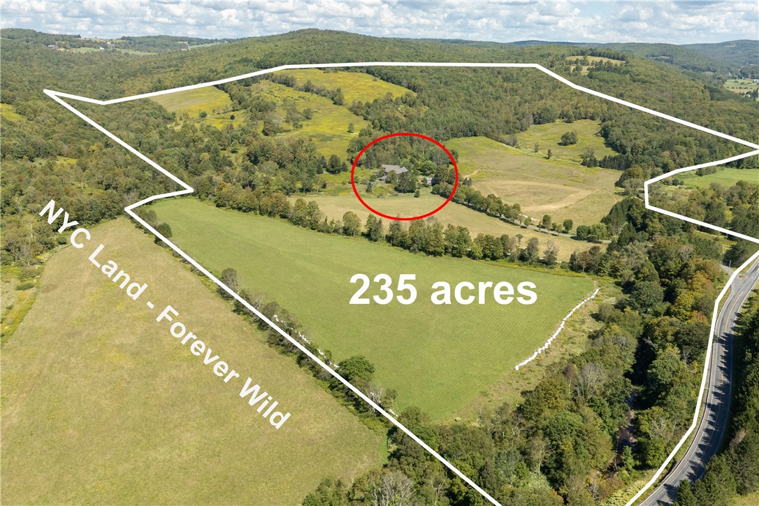 245 Budine Road Walton, NY 13856 - Photo 38 of 47