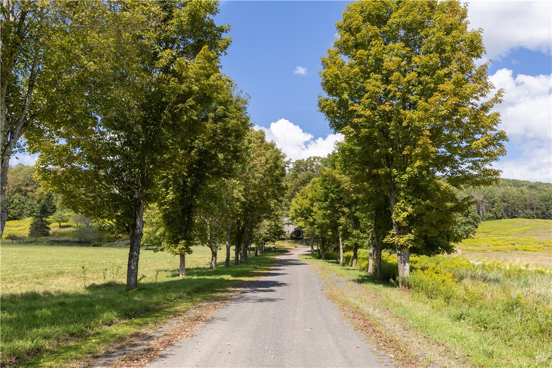 245 Budine Road Walton, NY 13856 - Photo 45 of 47