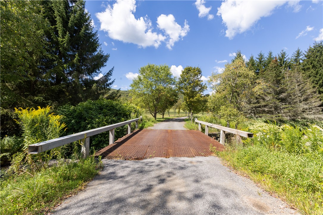 245 Budine Road Walton, NY 13856 - Photo 46 of 47