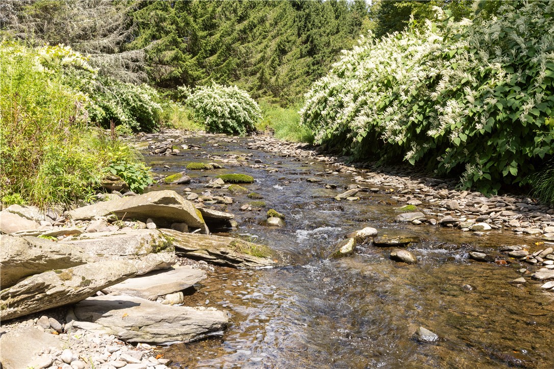 245 Budine Road Walton, NY 13856 - Photo 47 of 47