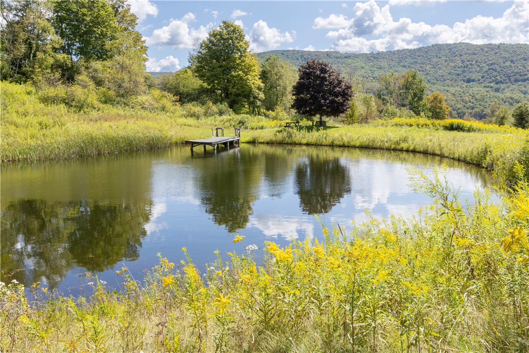 245 Budine Road Walton, NY 13856 - Photo 8 of 47