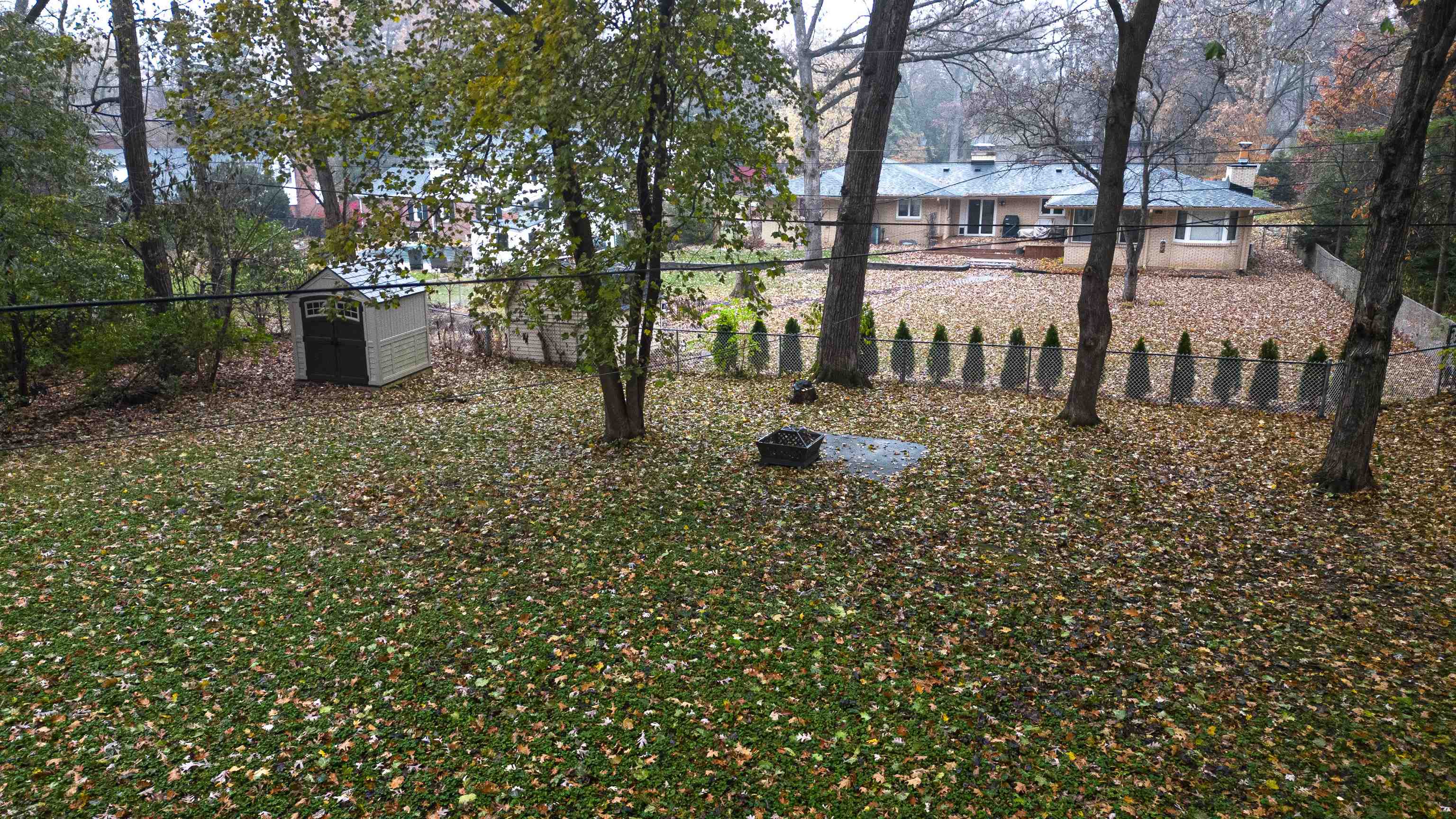 4626 Spring Creek Road Rockford, IL 61114 - Photo 30 of 31 a view of a yard with plants and trees