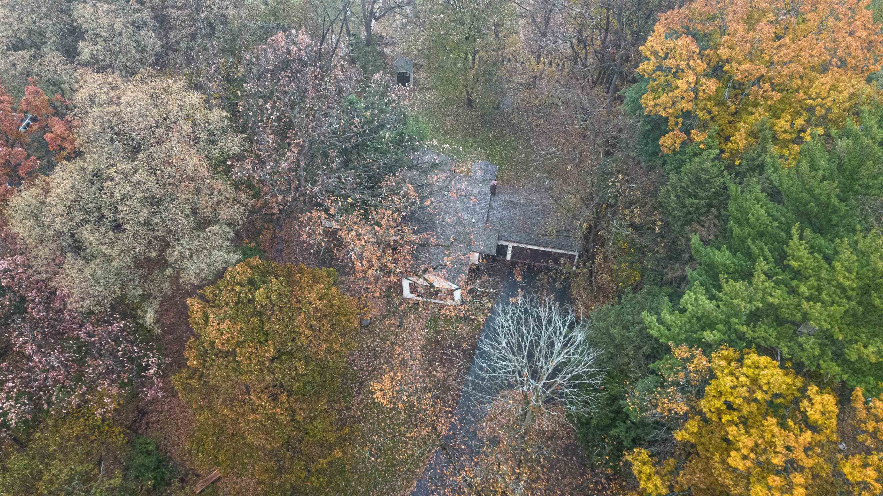 4626 Spring Creek Road Rockford, IL 61114 - Photo 31 of 31 a view of a forest with a tree
