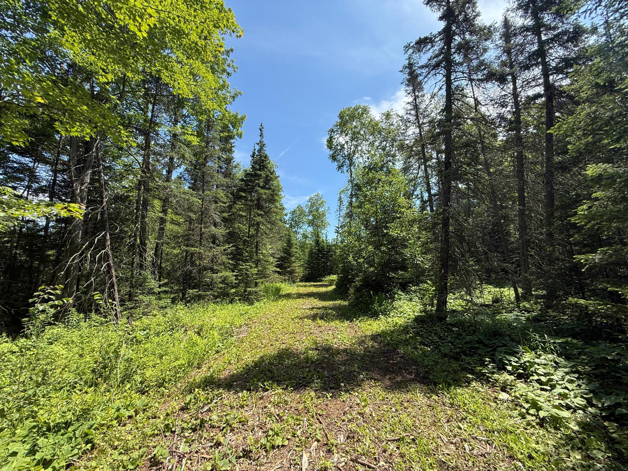 Tbd Arnold Road Duluth, MN 55803 - Photo 16 of 48 Gallery Image 16