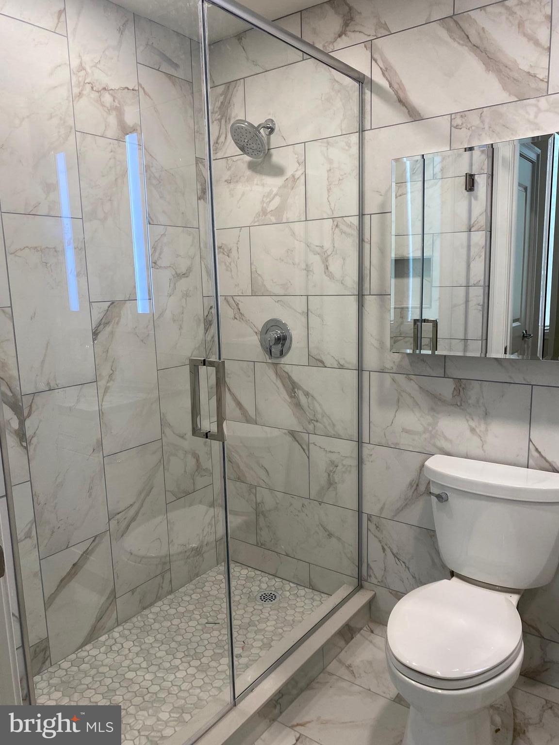 1900-20 Arch Street, Unit 109 Philadelphia, PA 19103 - Photo 12 of 34 a white toilet next to a shower