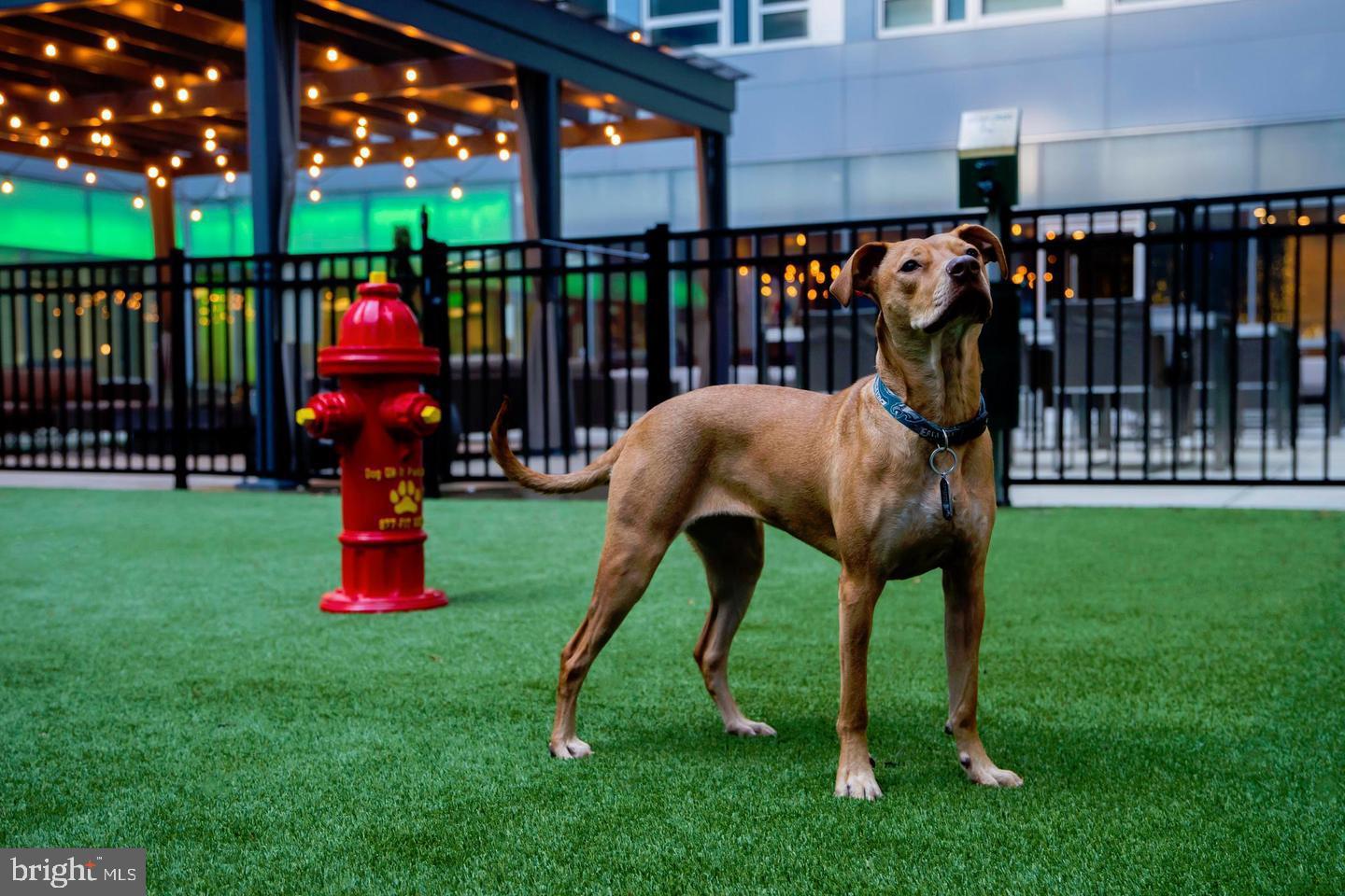 1900-20 Arch Street, Unit 109 Philadelphia, PA 19103 - Photo 22 of 34 a childrens park with lots of swings and slides and swimming pool in the back