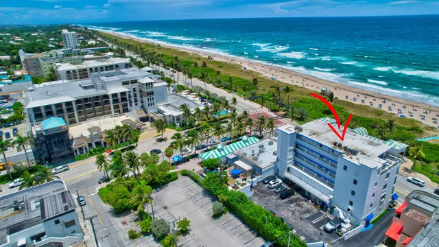 a view of a city with lots of trees