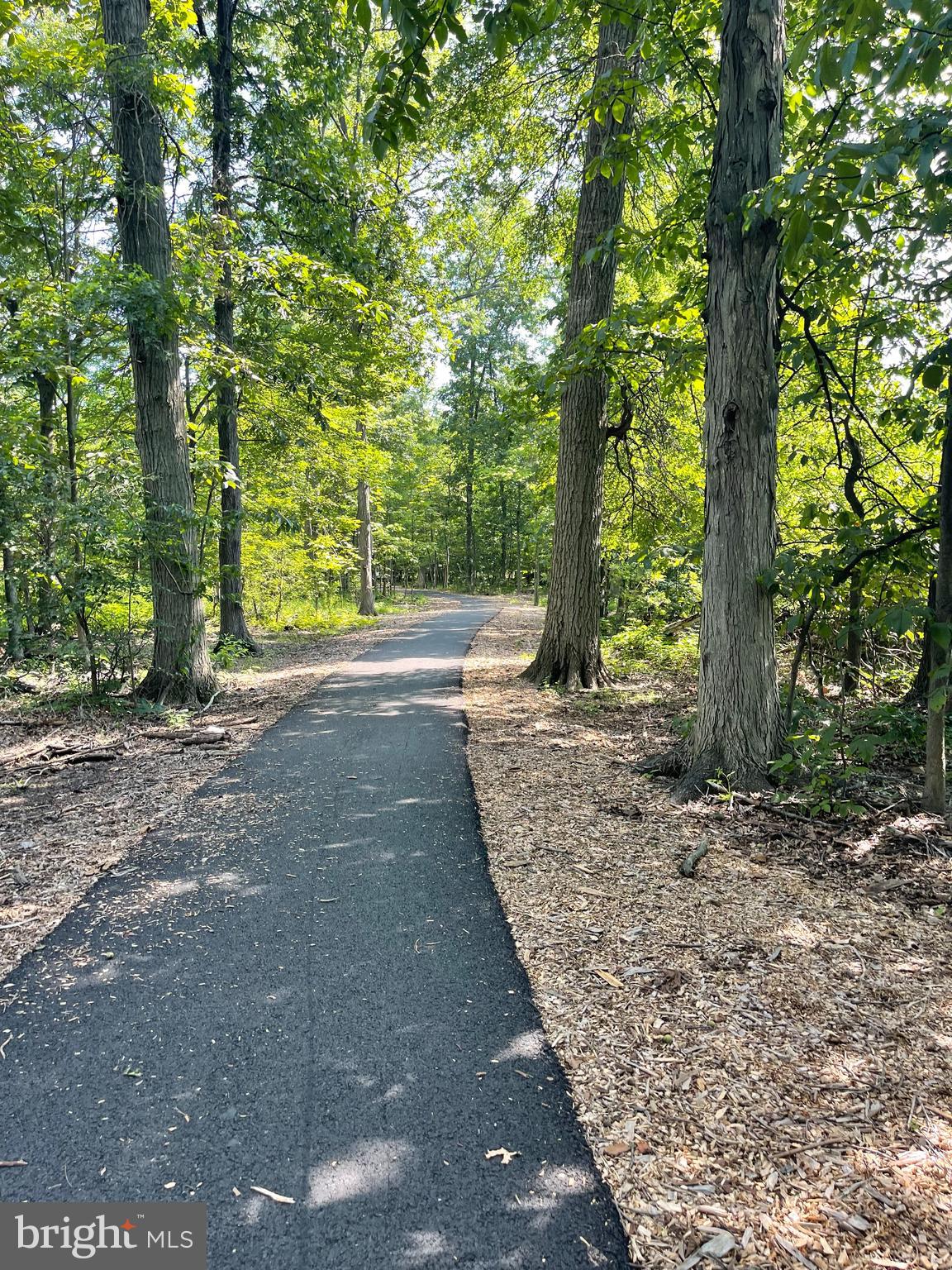 5251 Downs Run Pipersville, PA 18947 - Photo 42 of 49