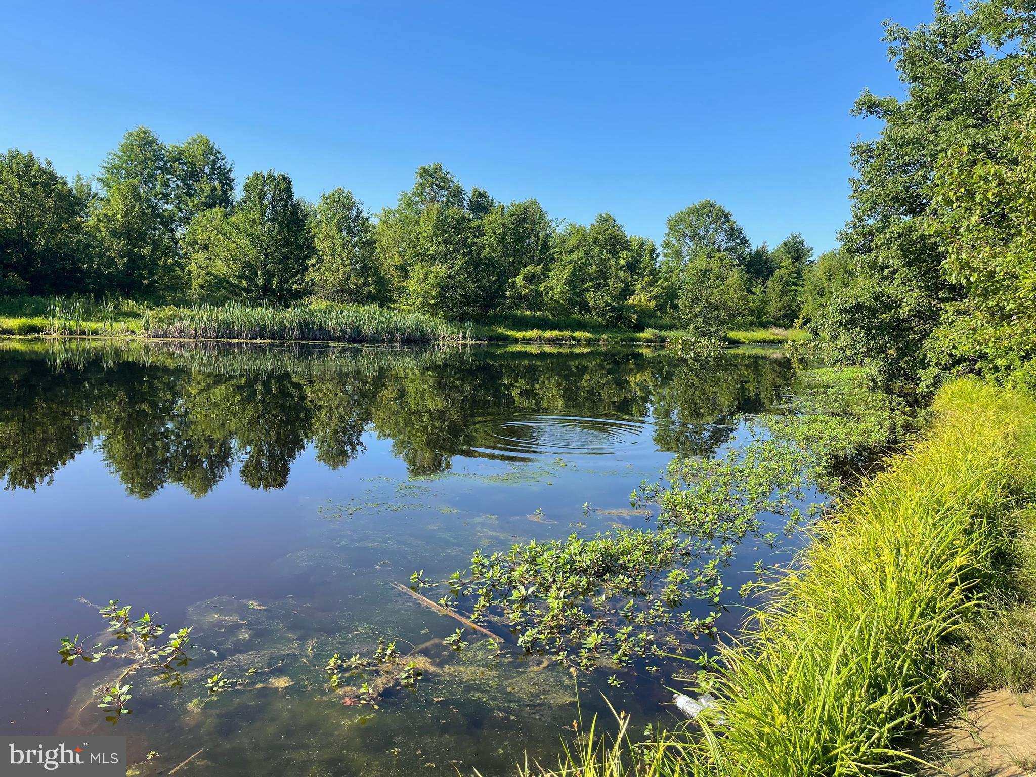 5251 Downs Run Pipersville, PA 18947 - Photo 43 of 49