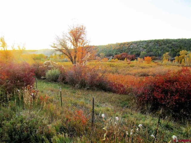 a view of a table and chairs in the garden