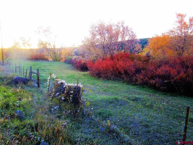 $200,000 | Tbd 330th Highway, Collbran, CO 81624