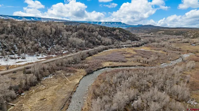 a view of a dry yard with lots of trees