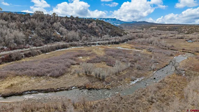 a view of a dry space with lots of trees