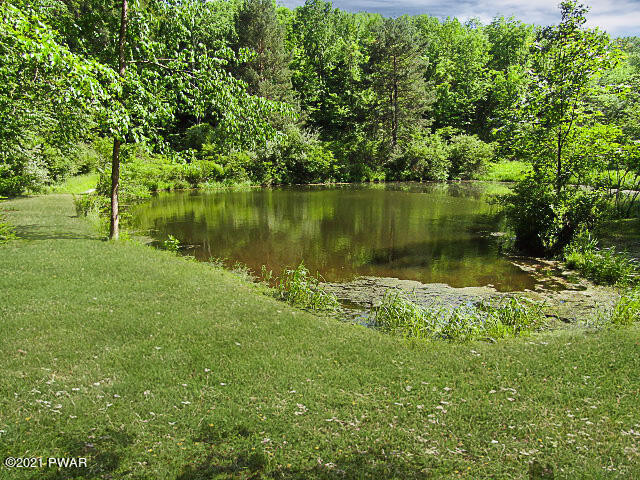 Sherman Hill Road Honesdale, PA 18431 - Photo 4 of 12