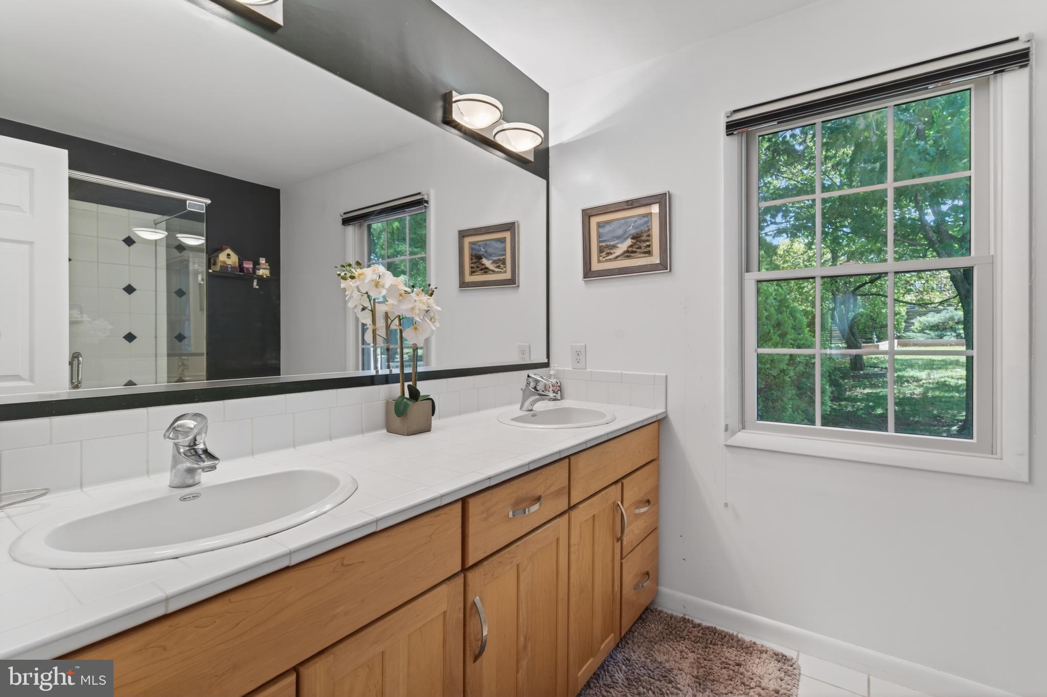 111 Environs Road Sterling, VA 20165 - Photo 25 of 50 Master bathroom