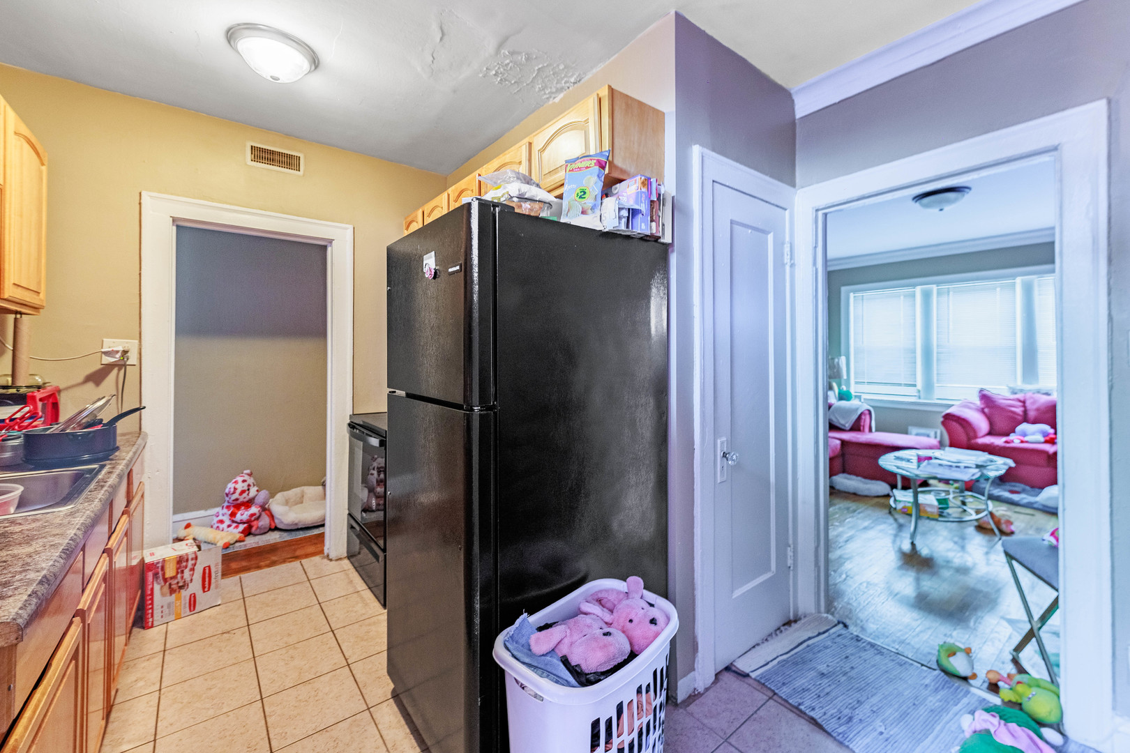 1513 West 87th Street Chicago, IL 60620 - Photo 15 of 28