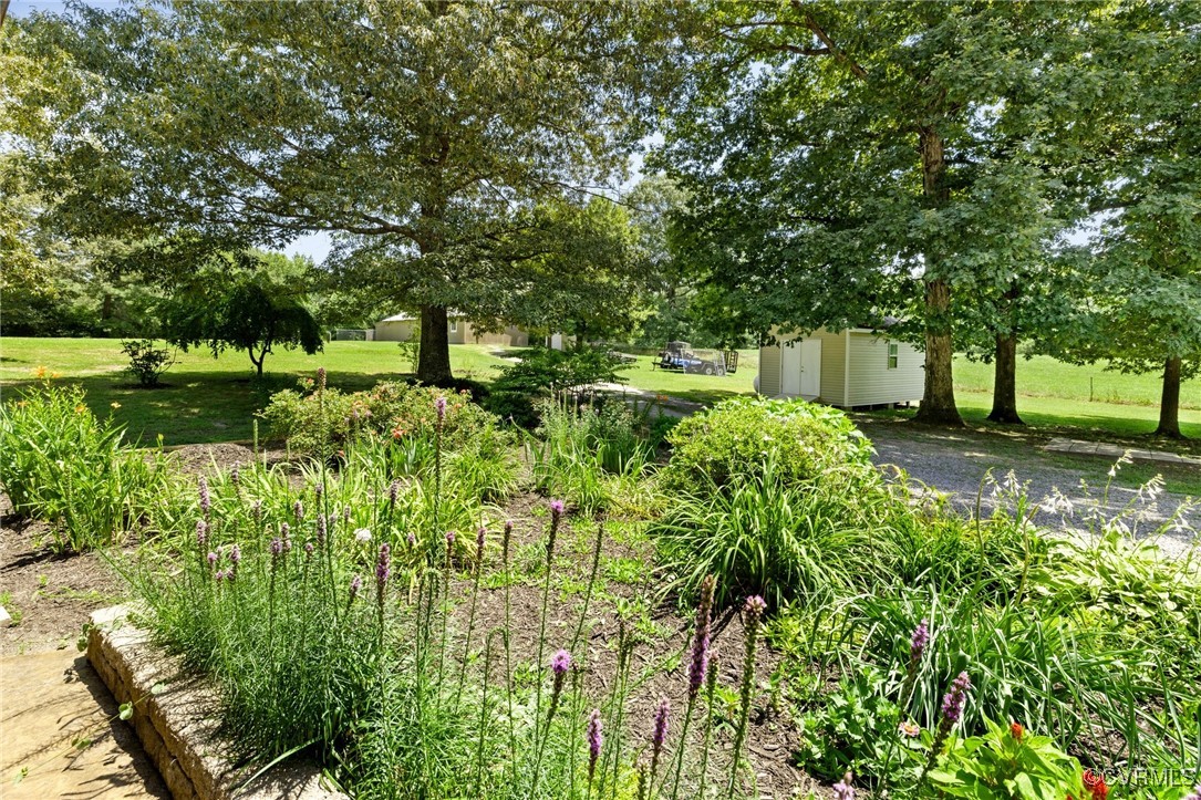 14398 Mountain Road Ashland, VA 23005 - Photo 31 of 36 a view of a garden with trees