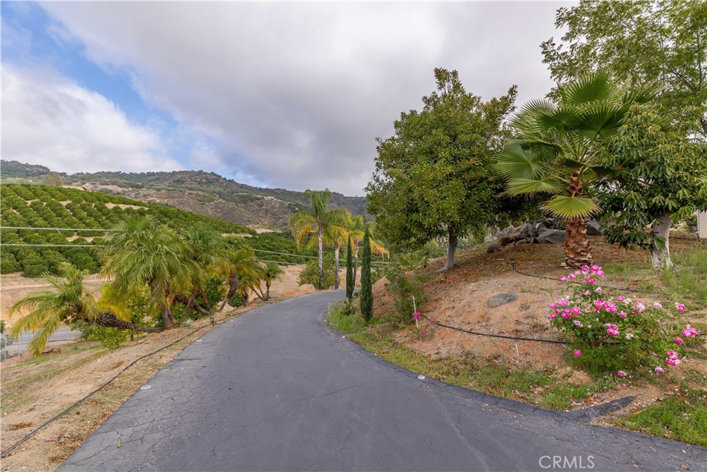 20491 Carancho Road Temecula, CA 92590 - Photo 48 of 64 a view of a street with a flower garden in the background