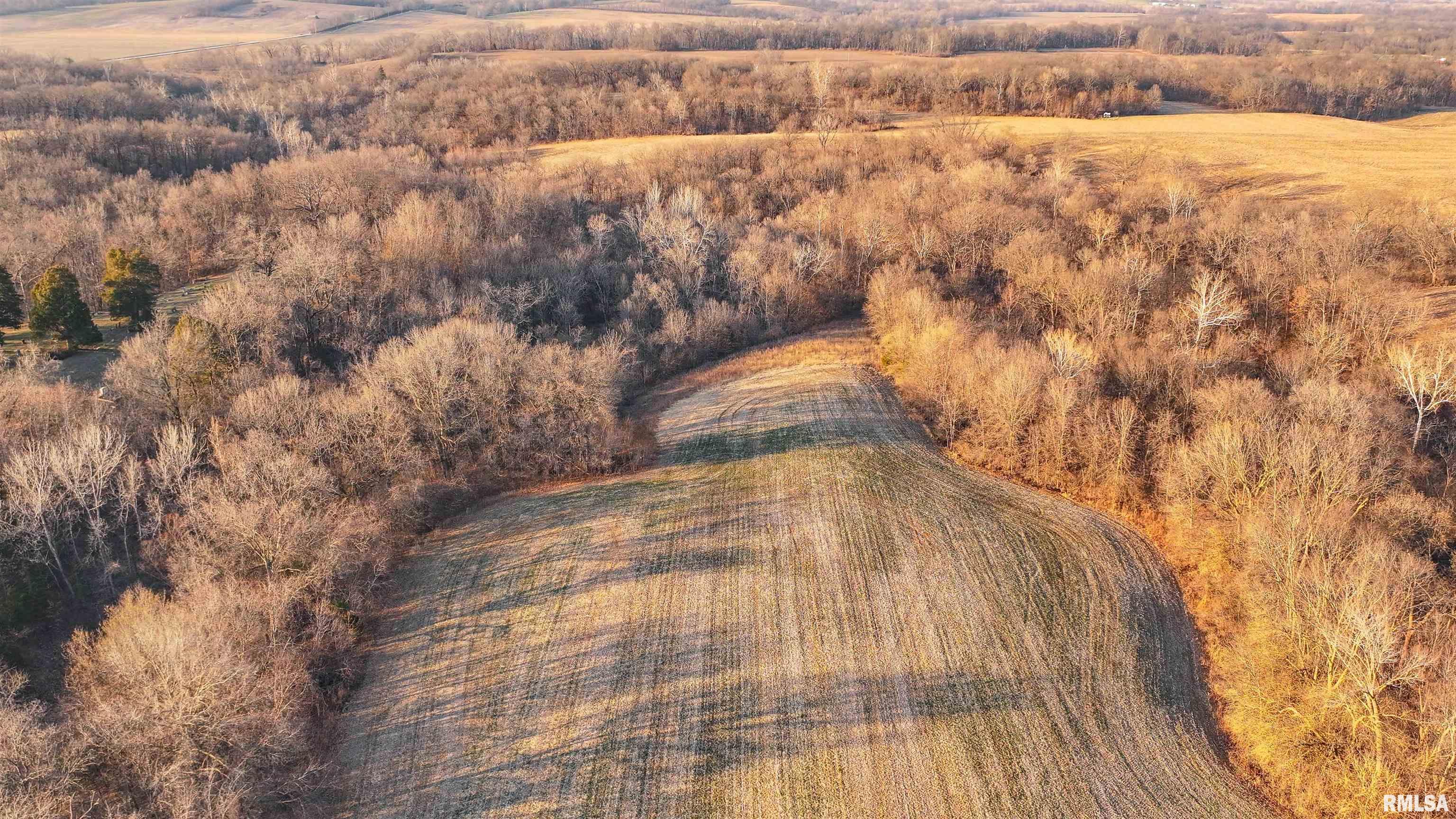 0 Winchester Glasgow Road Winchester, IL 62694 - Photo 12 of 56