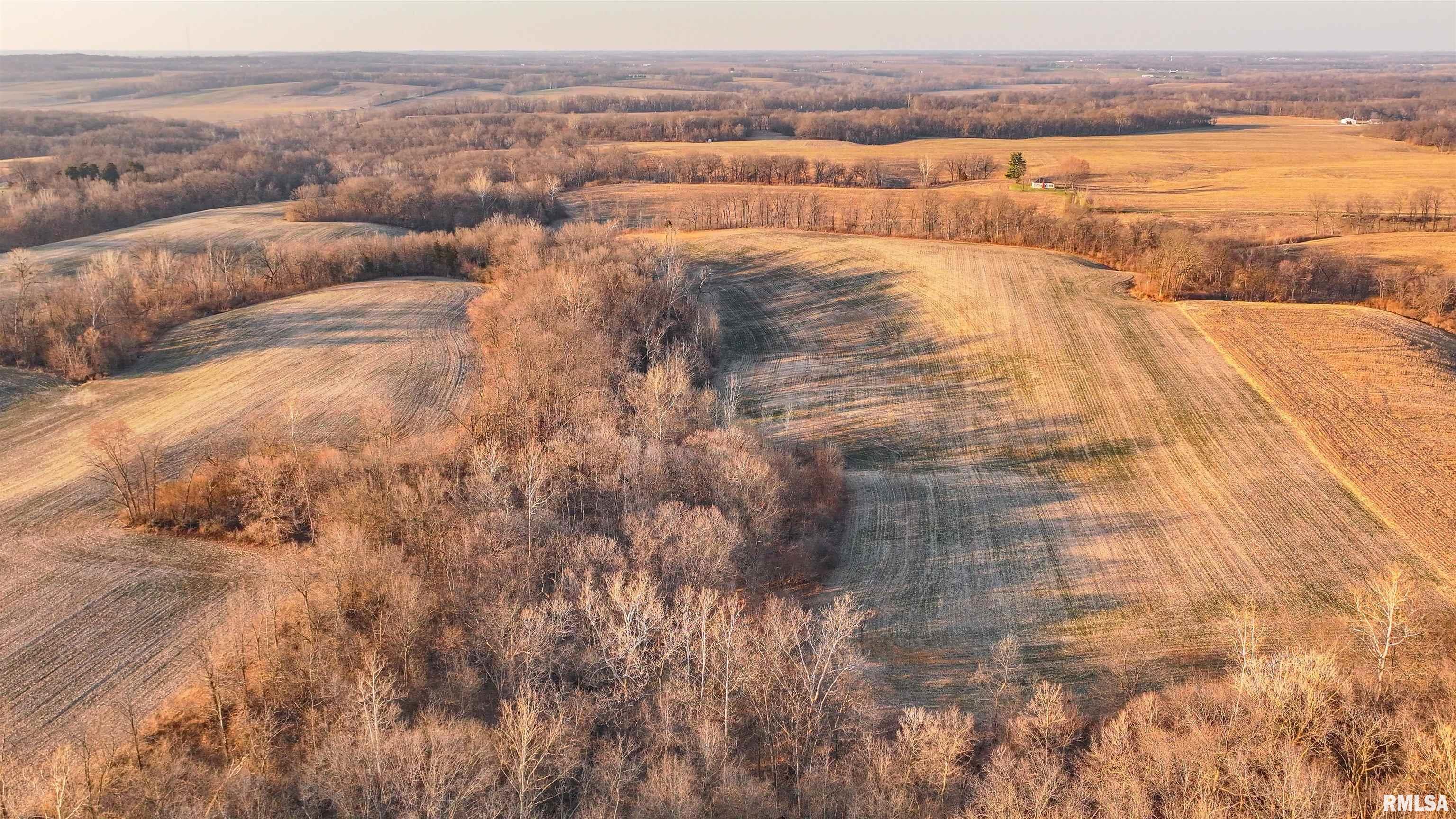 0 Winchester Glasgow Road Winchester, IL 62694 - Photo 17 of 56