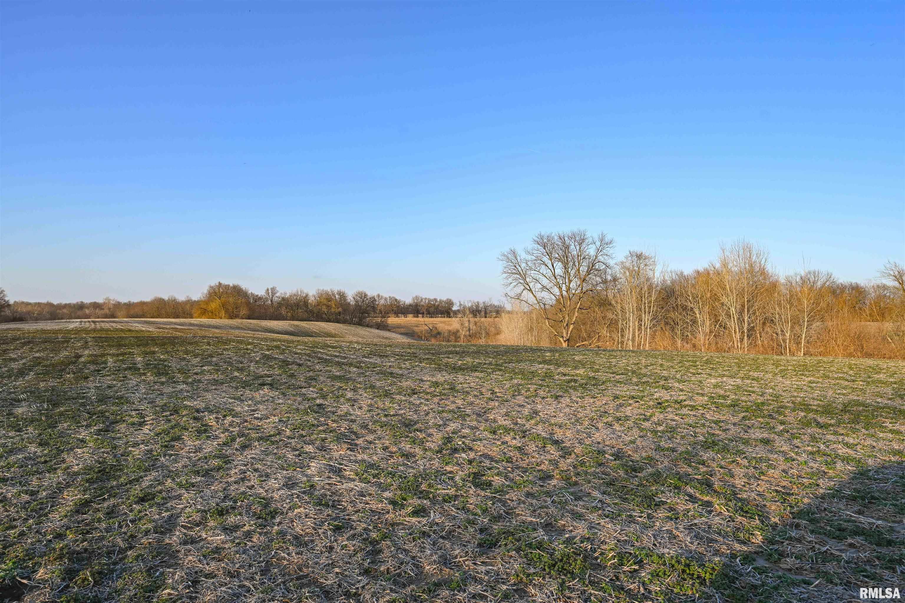 0 Winchester Glasgow Road Winchester, IL 62694 - Photo 24 of 56