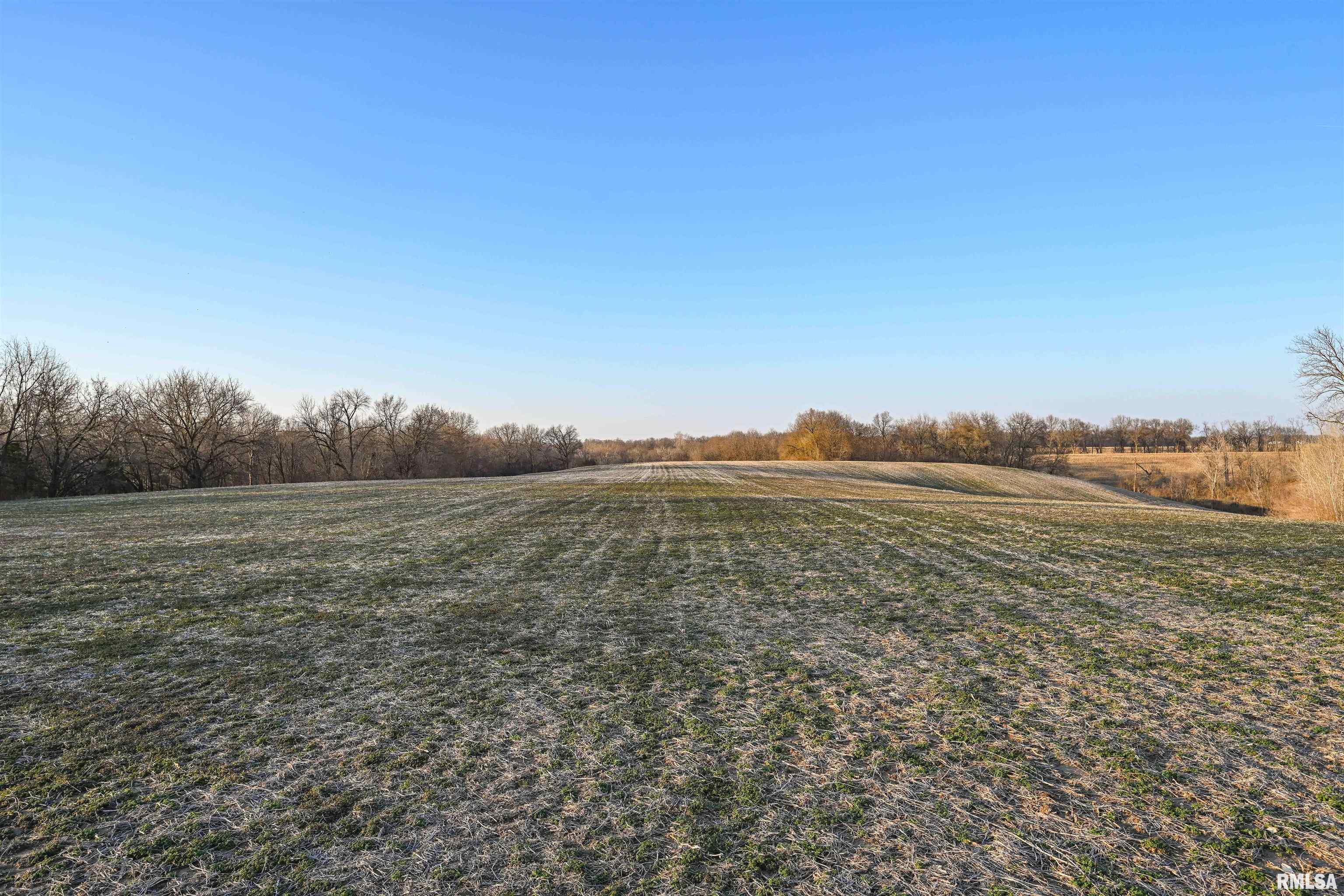 0 Winchester Glasgow Road Winchester, IL 62694 - Photo 25 of 56