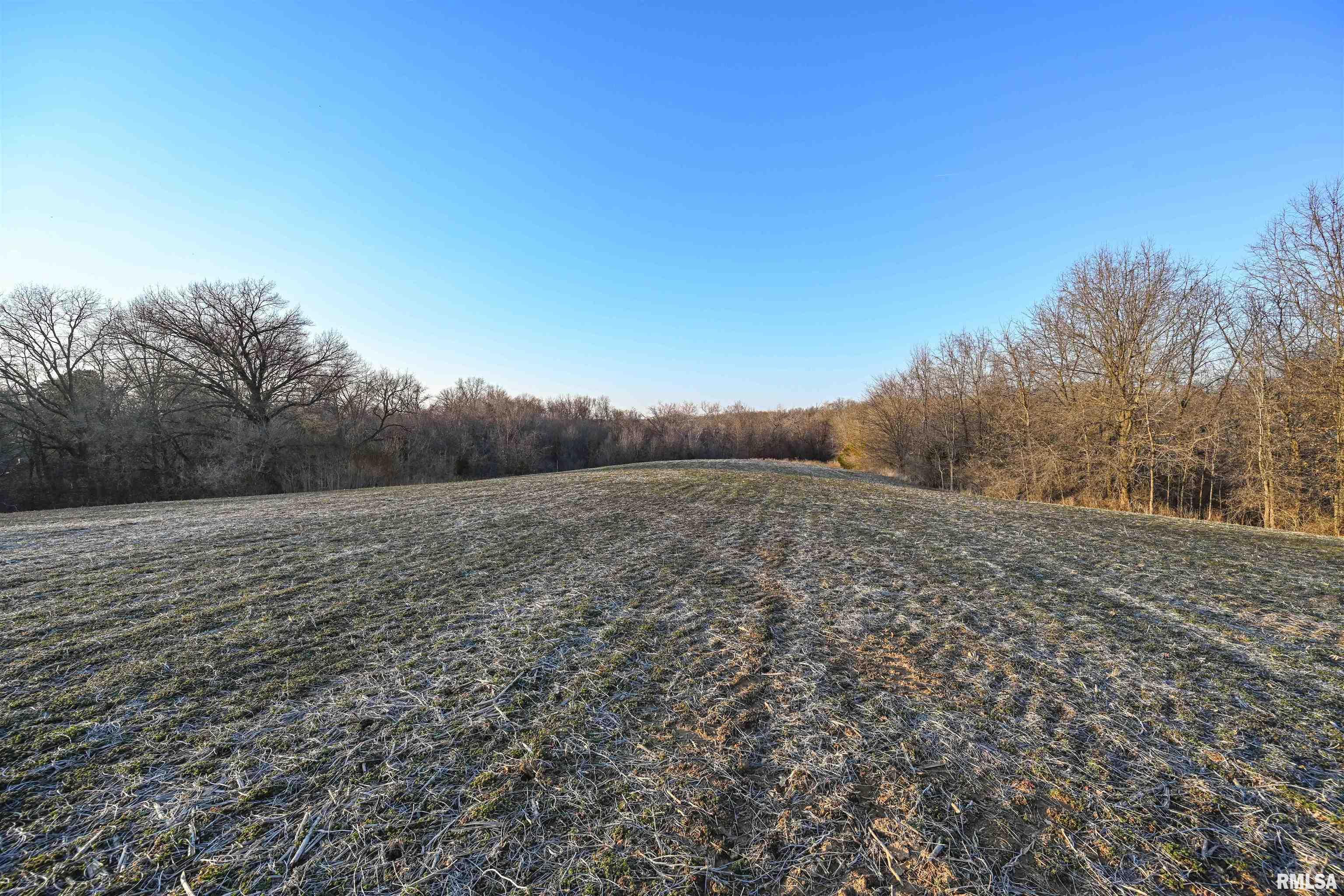 0 Winchester Glasgow Road Winchester, IL 62694 - Photo 33 of 56