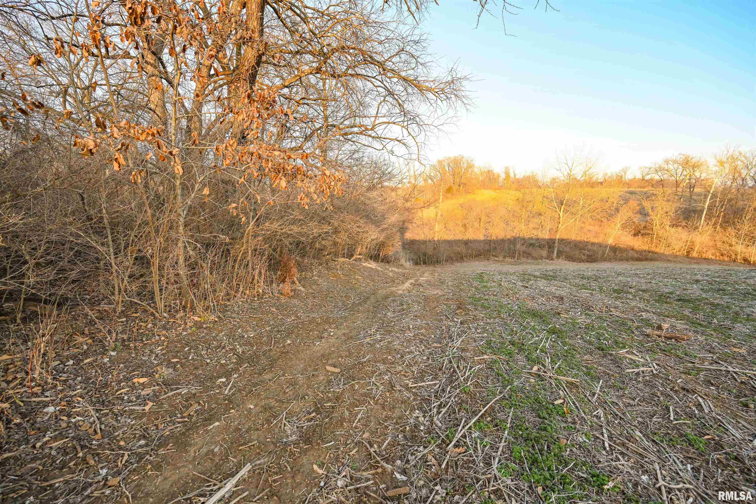 0 Winchester Glasgow Road Winchester, IL 62694 - Photo 39 of 56